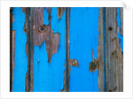 Paint on old door surface by Assaf Frank